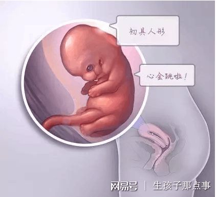 生殖医学中心